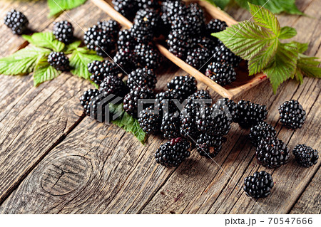 Ripe juicy blackberries with leaves on a wooden table. Ripe juicy blackberries with leaves on a wooden table. 70547666