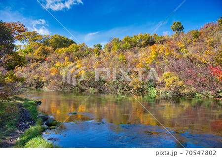青森県八甲田山中にあるグダリ沼の秋の紅葉風景 青森県八甲田山中にあるグダリ沼の秋の紅葉風景 70547802