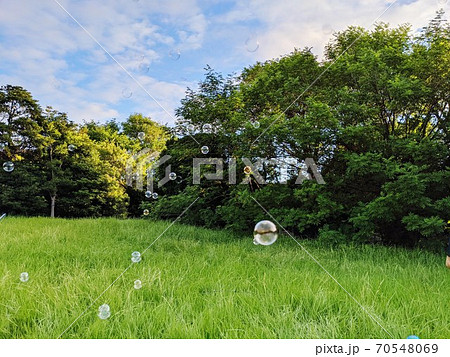 シャボン玉が舞う草むらの風景 シャボン玉が舞う草むらの風景 70548069