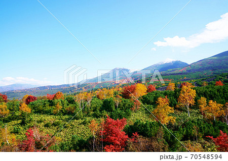 初冠雪と紅葉の十勝岳望岳台　北海道 70548594