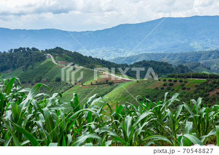 Driving, Swerving, Thailand, Mae Hong Son Province, Summer 70548827
