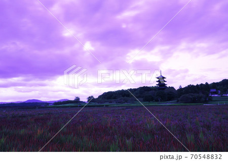 備中国分寺2647-- 70548832