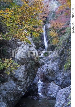 紅葉の秩父華厳の滝【ジオサイト】／岩山の滝と滝壺／埼玉県秩父郡皆野町 70549182