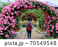 あやべグンゼスクエアのバラ園 70549548