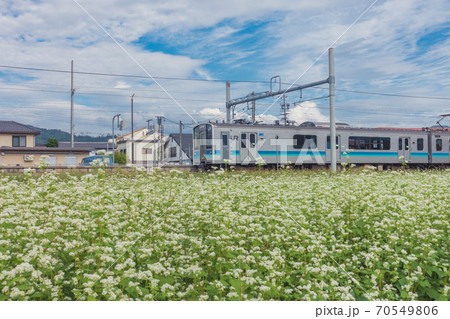 ソバの花咲く大糸線【安曇追分駅】 70549806