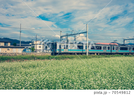 ソバの花咲く大糸線【安曇追分駅】 70549812