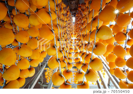 福島のあんぽ柿 70550450