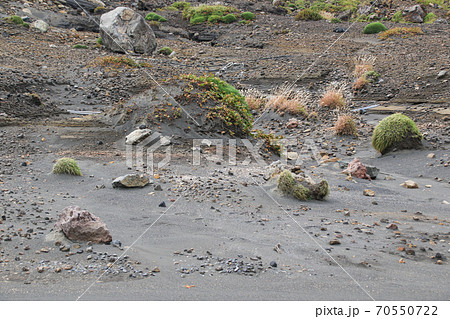 砂千里ヶ浜 砂千里ヶ浜 70550722
