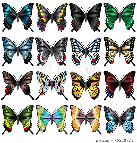 16種類の美しいアゲハ蝶のイラストセットのイラスト素材