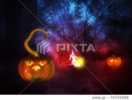 Halloween pumpkins in the garden 70550998