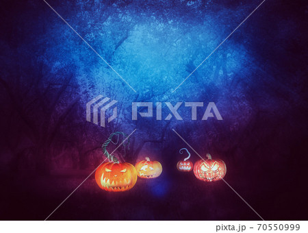 Halloween pumpkins in the garden 70550999