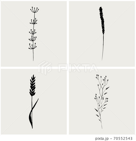 Logo branch. Hand drawn wedding herb. Plant and leaves for invitation card design. Botanical rustic trendy greenery vector illustration.  70552543