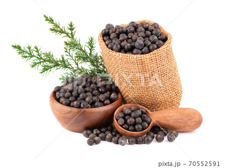 Dry juniper berries with in small burlap sack, isolated on white background. Common Juniper fruits in wooden bowl and spoon. 70552591