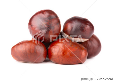 Horse chestnuts fruits, isolated on white background. Aesculus hippocastanum. Horse chestnuts fruits, isolated on white background. Aesculus hippocastanum. 70552598