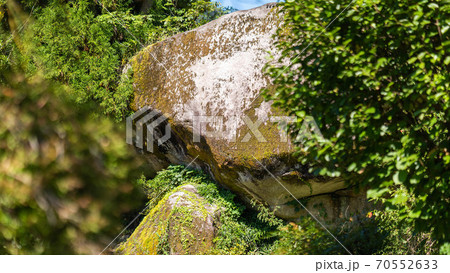 妻籠宿/鯉岩(中山道) 妻籠宿/鯉岩(中山道) 70552633