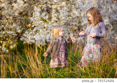 two small girls in blooming bushes with twigs two small girls in blooming bushes with twigs 70552688