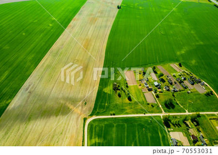 top view of a sown green field and a small village in Belarus. Agricultural fields in the village.Spring sowing in a small village 70553031