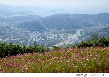 鷲ヶ峰コスモスパークから有田川を望む 70553916
