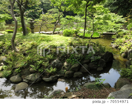 旧古河庭園の渓谷 旧古河庭園の渓谷 70554971