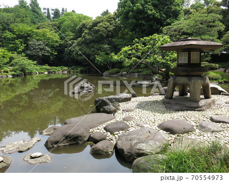 旧古河庭園の日本庭園 70554973