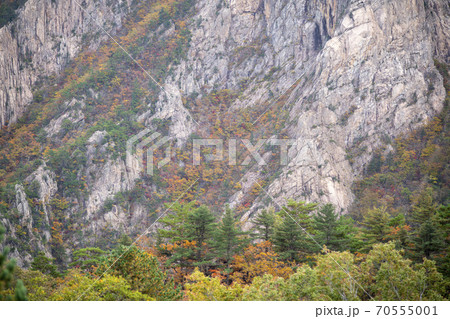 雪岳山 山 秋 70555001