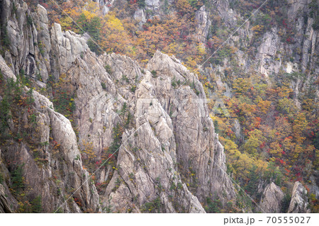 雪岳山 山 秋 70555027