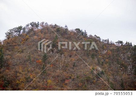 雪岳山 山 秋 70555053