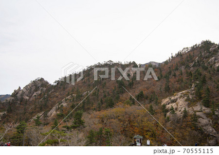 雪岳山 山 秋 70555115