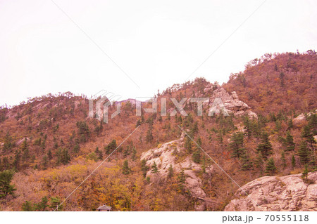 雪岳山 山 秋 70555118