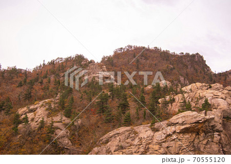 雪岳山 山 秋 70555120
