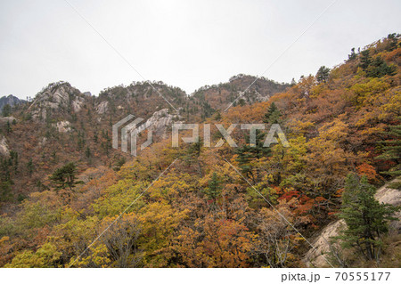 雪岳山 山 秋 70555177