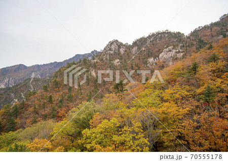 雪岳山 山 秋 70555178