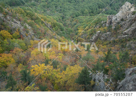 雪岳山 山 秋 70555207