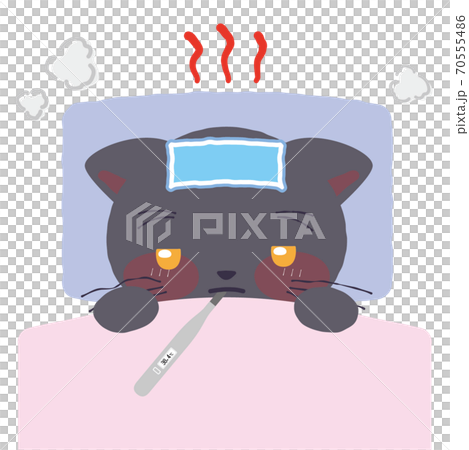Black cat sleeping with fever Black cat sleeping with fever 70555486