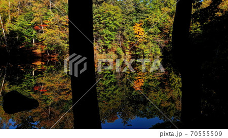 日和田高原杣ケ池 70555509