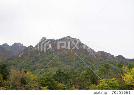雪岳山 山 秋 70555661