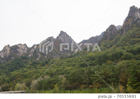 雪岳山 山 風景 70555691