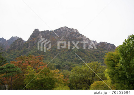 雪岳山 山 秋 70555694