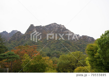 雪岳山 山 秋 70555695