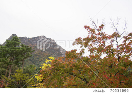雪岳山 山 秋 70555696