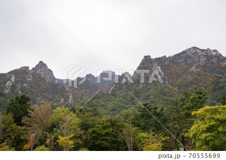 雪岳山 山 秋 70555699