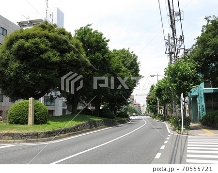 東京都北区の西ヶ原一里塚 70555721