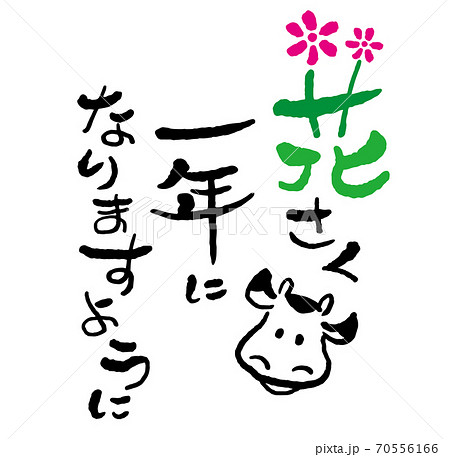年賀状　筆文字「新年の挨拶・花咲く一年になりますように」と牛の絵　デザイン書道　書道アート　 70556166