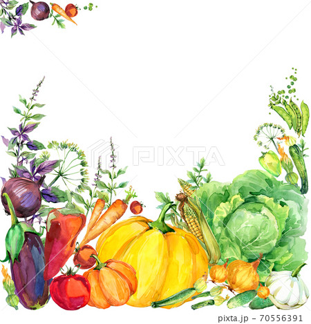 Assorted raw organic vegetables. watercolor illustration. watercolor vegetables and herbs background Assorted raw organic vegetables. watercolor illustration. watercolor vegetables and herbs background 70556391