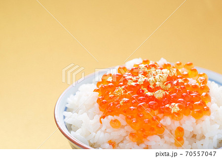 いくらごはん 70557047