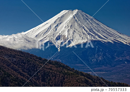 本社ヶ丸から見る早春の富士山 本社ヶ丸から見る早春の富士山 70557333