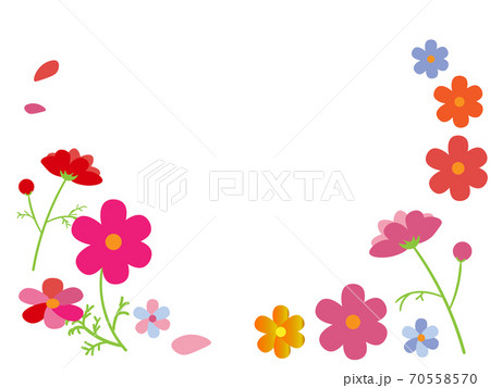 シンプルなコスモスのフレームのイラスト素材