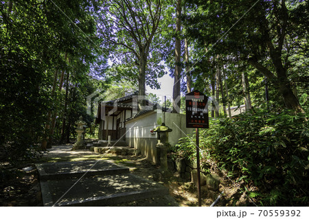 平城京跡歴史公園 宇奈多理坐高御魂神社 奈良県奈良市 平城京跡歴史公園 宇奈多理坐高御魂神社 奈良県奈良市 70559392