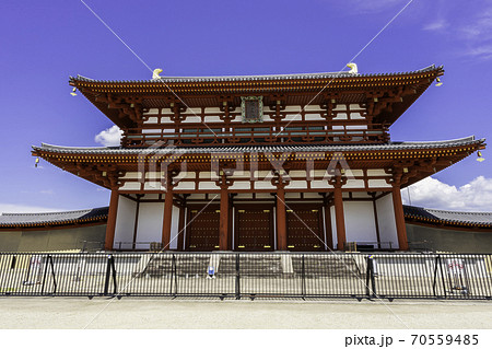 平城京跡歴史公園 朱雀門 奈良県奈良市 平城京跡歴史公園 朱雀門 奈良県奈良市 70559485