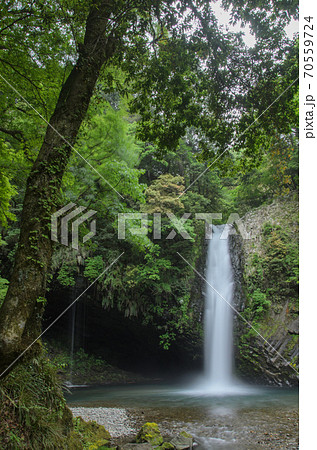浄蓮の滝　静岡県伊豆市 70559724